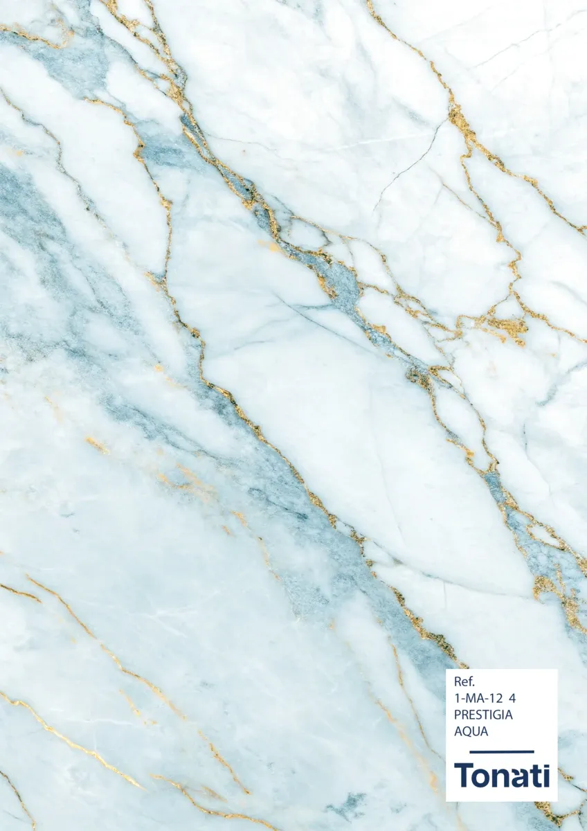 Décor Prestigia Aqua (1-MA-12 4)