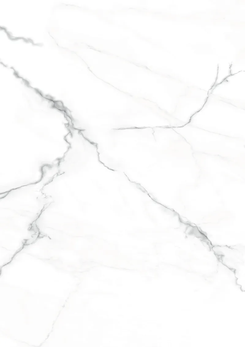 Décor Calacatta Classic (1002)