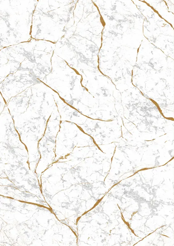 Décor Marbre Blanc Gold (1039)