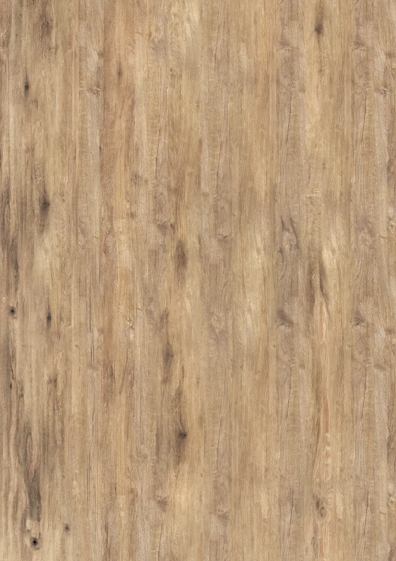 Décor Wild Oak (6007)