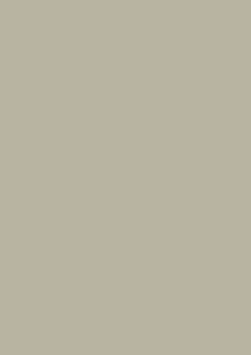Décor Gris de Palma (7017)