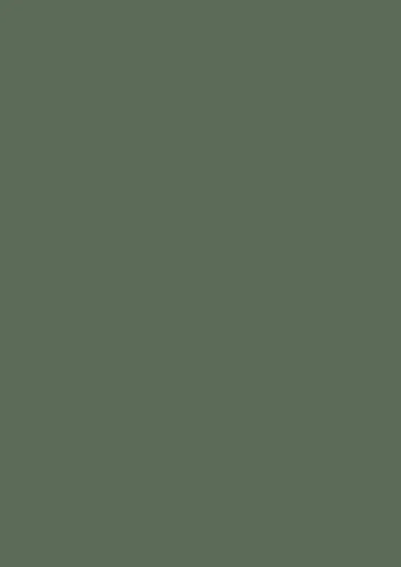 Décor Green Aube (7019)