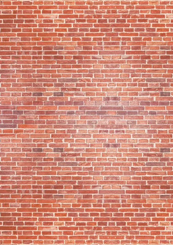 Décor Briques Rouge (8068)