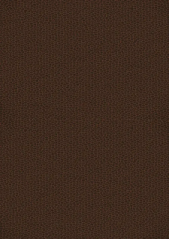 Décor Patiné (8077)